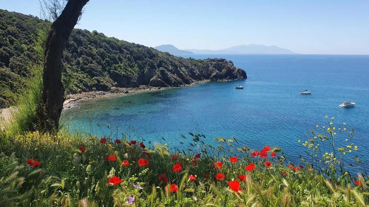 Il Pesce Azzurro Apartman Piombino